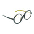 Sun-Staches Wicked Elphaba Sunglasses