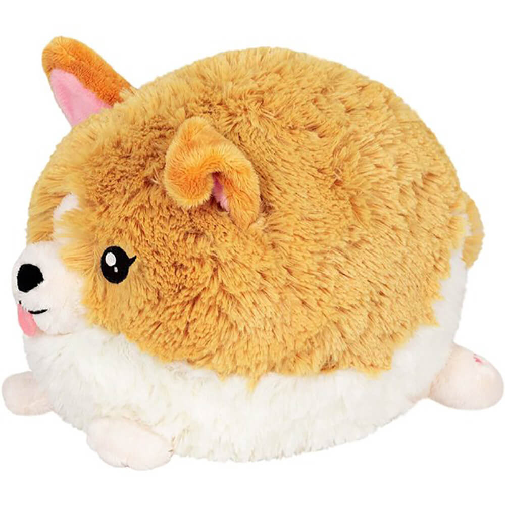Mini Squishable Baby Corgi 7