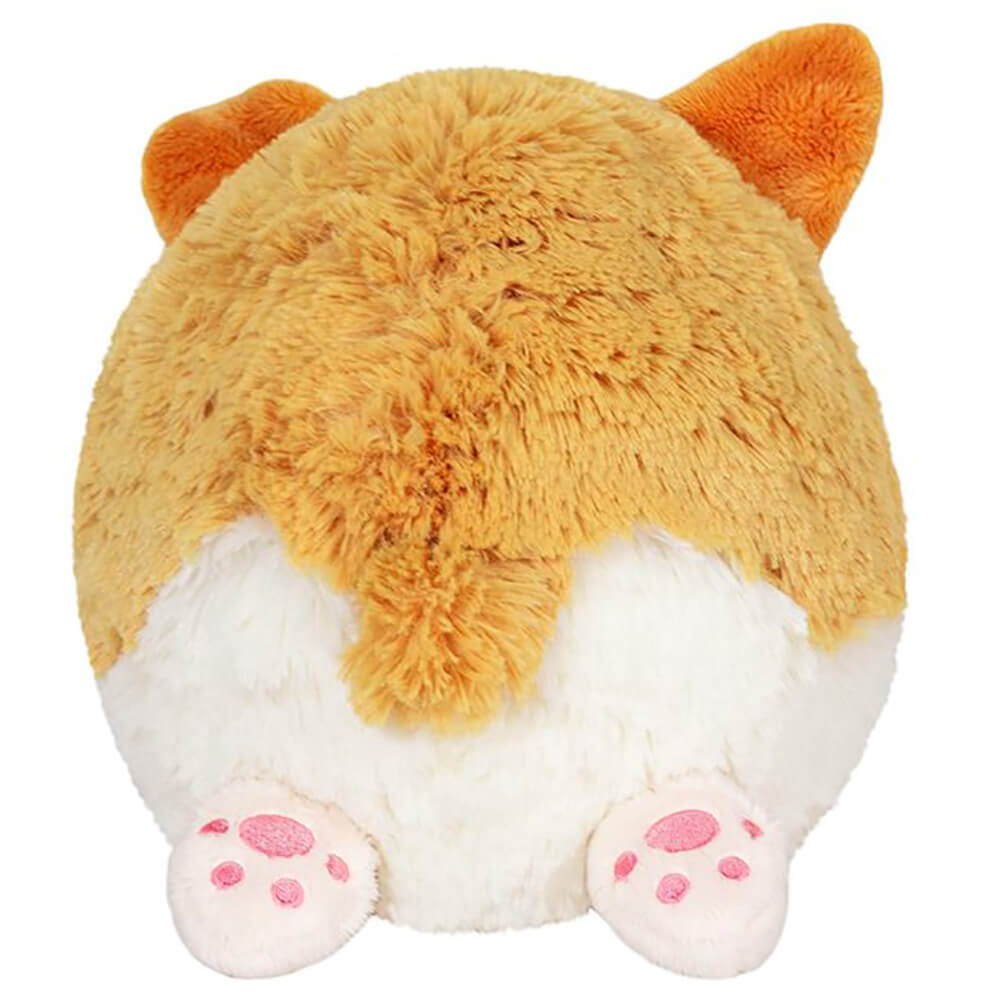 Mini Squishable Baby Corgi 7
