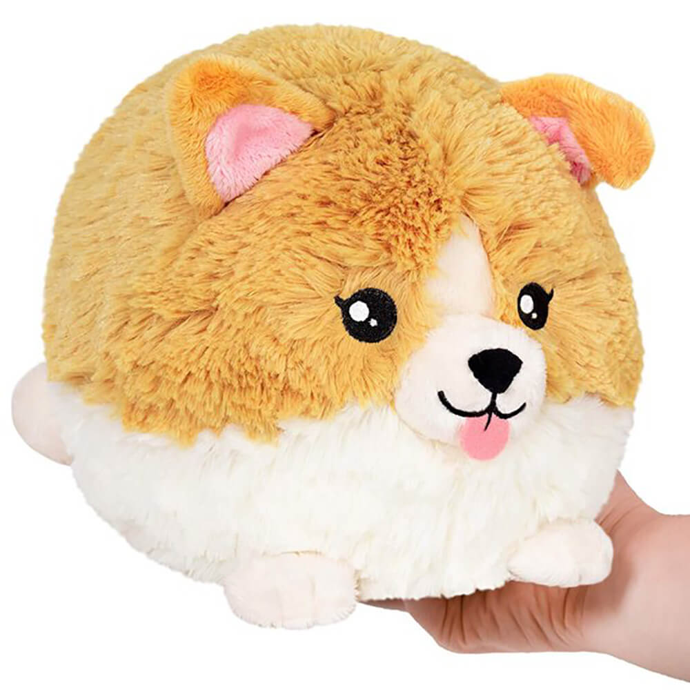 Mini Squishable Baby Corgi 7