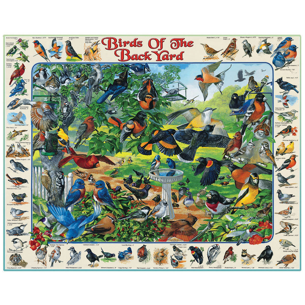 White Mountain Puzzles Birds of the Backyard 1000 Pc
