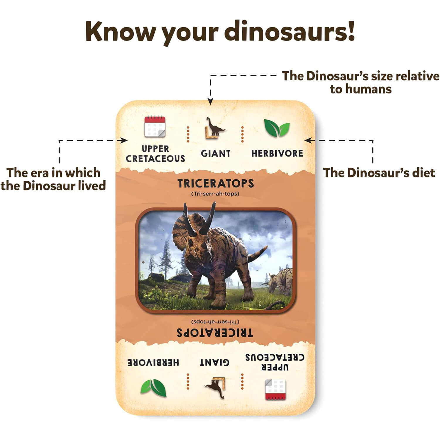 Dino Trio Card Game know your dinosaurs