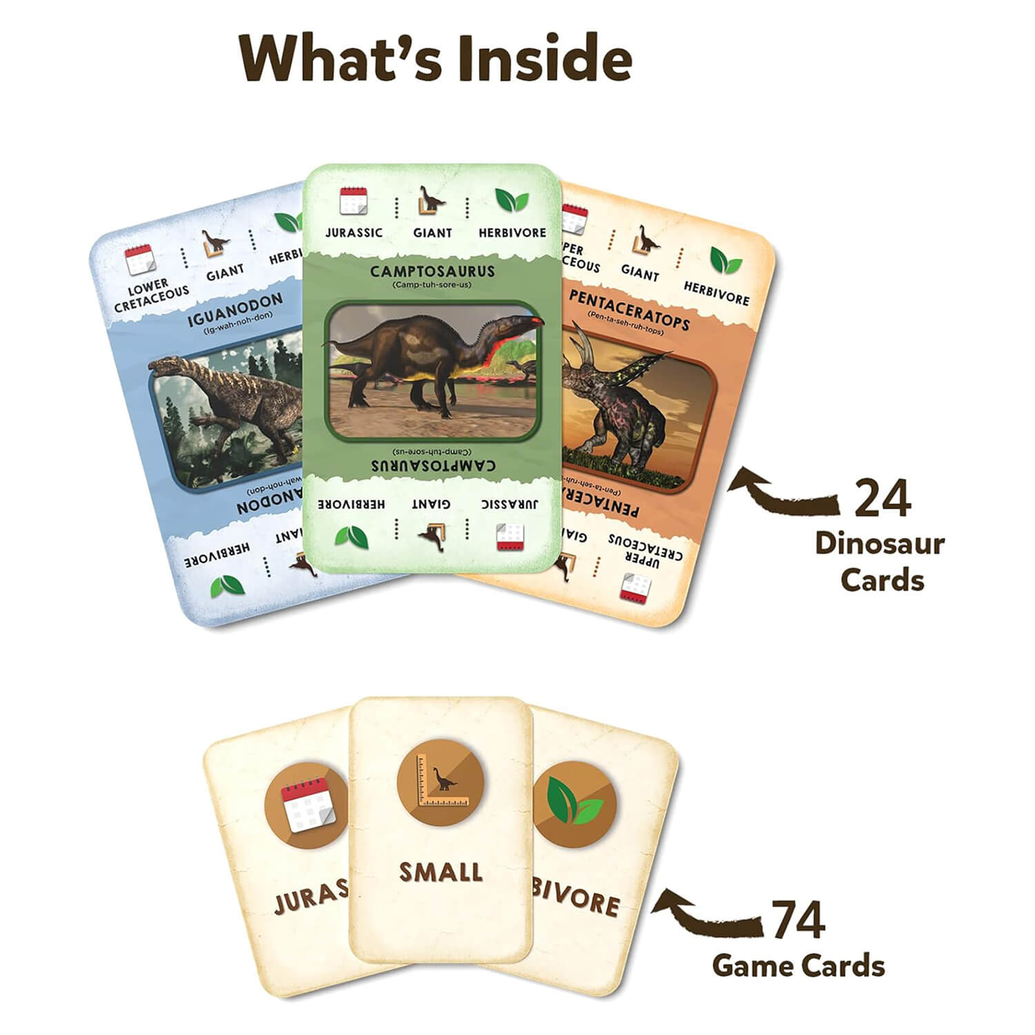 Dino Trio Card Game whats inside