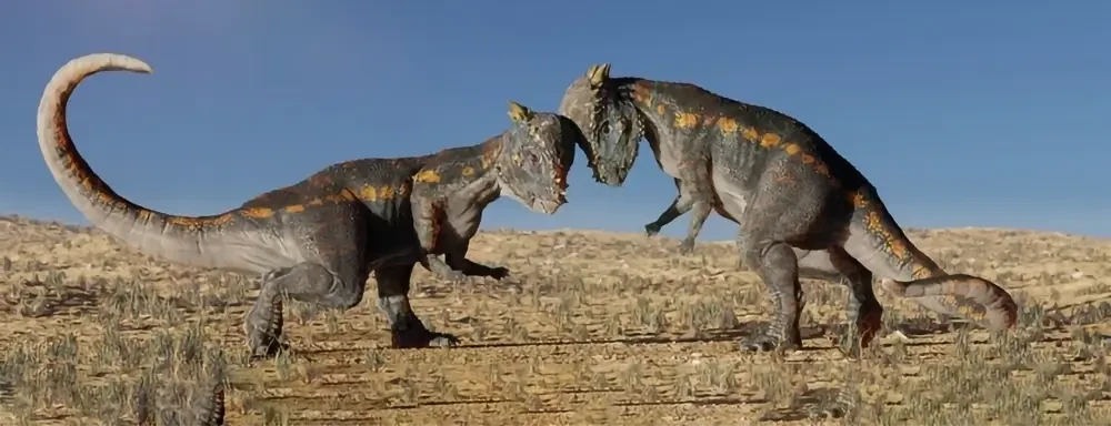 Two Pachycephalosaurus dinosaur toys engaged in a head-butting battle on a dry, prehistoric landscape under a clear blue sky.